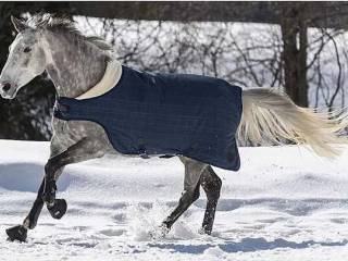 Derka Walker Felix Buhler 145cm