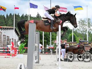 Klacz gotowa na konkursy 1.40m