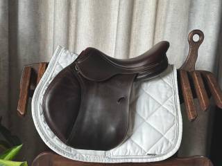 Antares Signature 17"