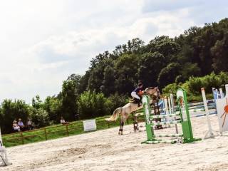 Trening Koni i Jeźdźców