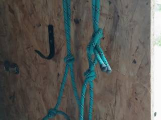 Halter cob