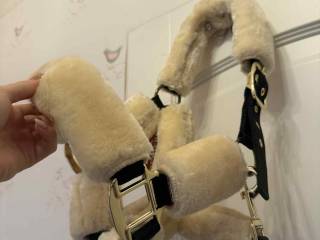 Kantar Premiere PONY