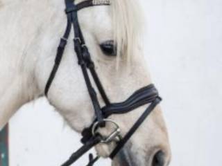 Ogłowie Lovequestrian "Glam Rosegold"