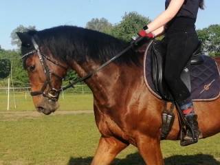 Oddam w współdzierżawe