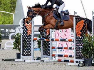 PILNA SPRZEDAZ/ 7 latek