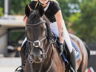 Trening koni sportowych, zawody, pomoc przy sprzedaży