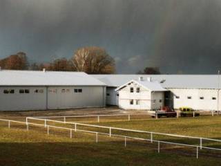 Przyjmę stajennego do stajni pensjonatowo-sportowej