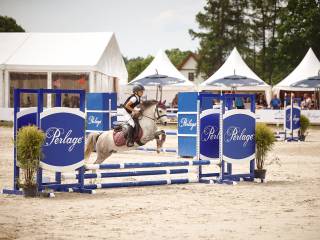 Wspaniała 7 letnia klacz A0