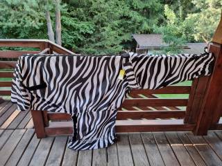 Derka egzemowa Felix Buhler Gibson zebra z kapturem 105cm