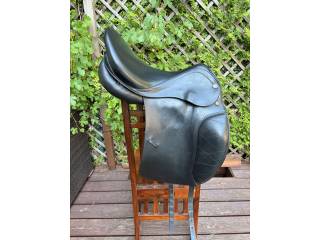 Prestige Appaloosa 17/33