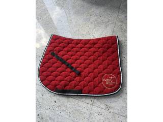 Sprzedam czaprak eqst