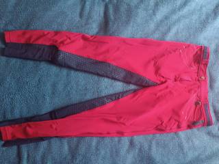 Bryczesy Premier Equine 42