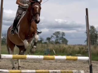 M Clair de Lune do rekreacji i małego sportu