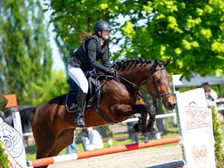 6 letnia klacz małopolska