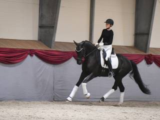 Trening par koń/jeździec, trening koni, przygotowanie do zawodów