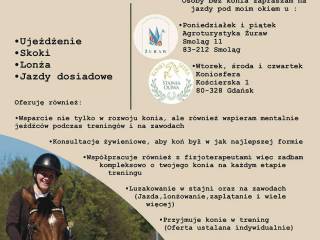 Trening koni i jeźdźców