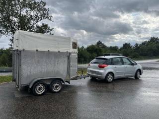 Transport i wynajem przyczepy do przewozu koni