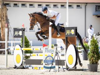 5-letni wałach oldenburski po Zinedream / brat skoczka 1.60 m