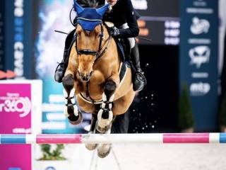 Klacz dla juniora do wprowadzenia w sport super cena