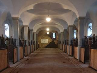 pensjonat dla koni- Kędzierzyn koźle