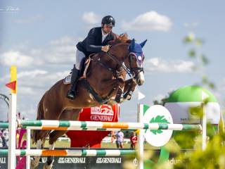 Doświadczony wałach w konkursach Grand Prix 145cm LR