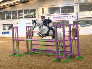 Kuc sportowy gr. D - TOP PONY