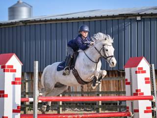 Kuc sportowy gr. C - TOP PONY
