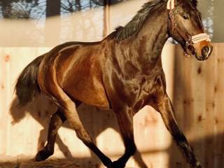 Walach do sportu bądź rekreacji