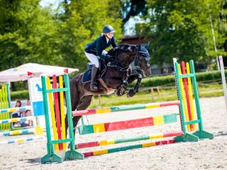 Fajny 7 letni wałach