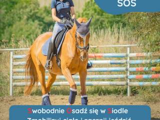 Dosiadowe SOS - mobilizacja ciała z fizjoterapeutką!