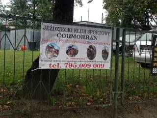 Praca jeździec oraz luzak