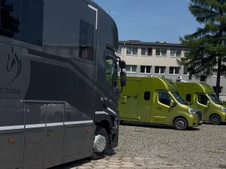 MASTERS GLOBAL Międzynarodowy Transport Koni