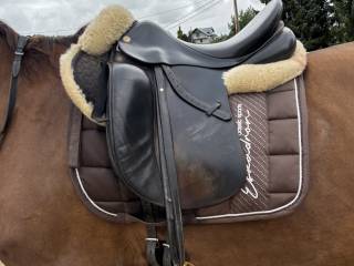 Prestige top dressage