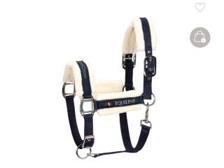 Schockemöle Pony/ Equiline COB