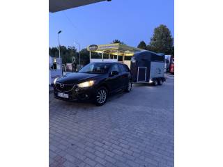 Transport koni na terenie Polski