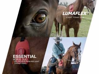 Nowość Kliniczna fotobiomodulacja terapia światłem zestaw: 2x Lumaflex Horse DUO Raty 0% od 379,75 zł brutto