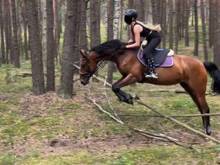 Dzierżawa ambitnej klaczy. Stajnia z halą, świetny dojazd S2. Góraszka