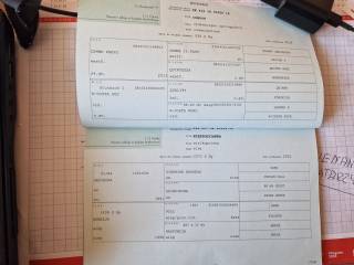 Młody prospekt sportowy NICON GW