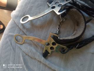 Hackamore cob/full