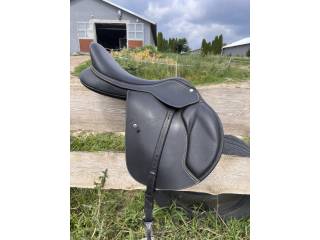 Wintec 500 Jump Heart