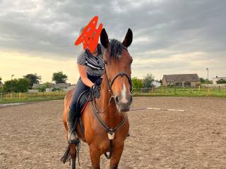 Sprzedam klacz 10 lat