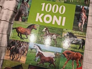 1000 Koni, ilustrowany album
