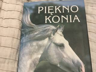 Album Piękno konia