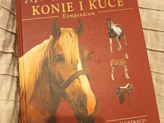 Książka Konie i Kuce, Tamsin Piceral