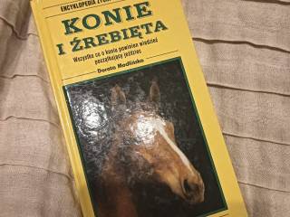 Konie i źrebięta - Modlińska Dorota