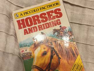 Horses and Riding