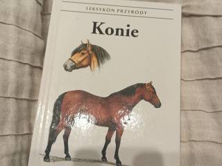 Konie - Leksykon przyrody