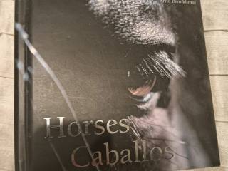 Horses/Caballos: Breeds