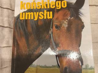 Sekrety końskiego umysłu koń Robert Miller