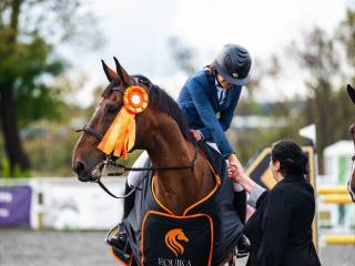 PILNIE! Profesor do wygrywania dla amatora/juniora